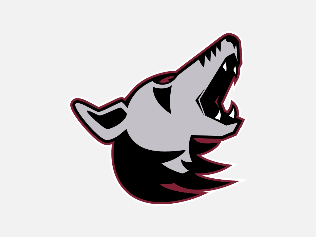 The Arizona Mightyotes logo iron on heat transfer